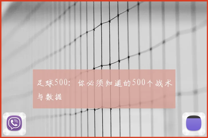 足球500：你必须知道的500个战术与数据