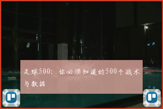 足球500：你必须知道的500个战术与数据