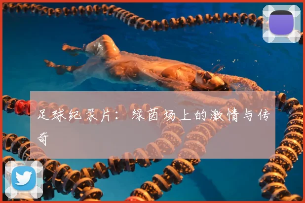 足球纪录片：绿茵场上的激情与传奇